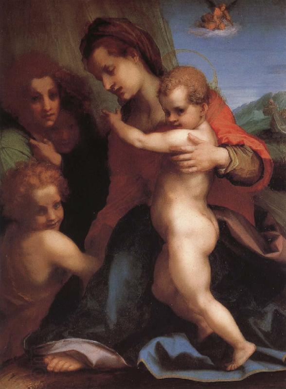 Andrea del Sarto Angel oil painting picture